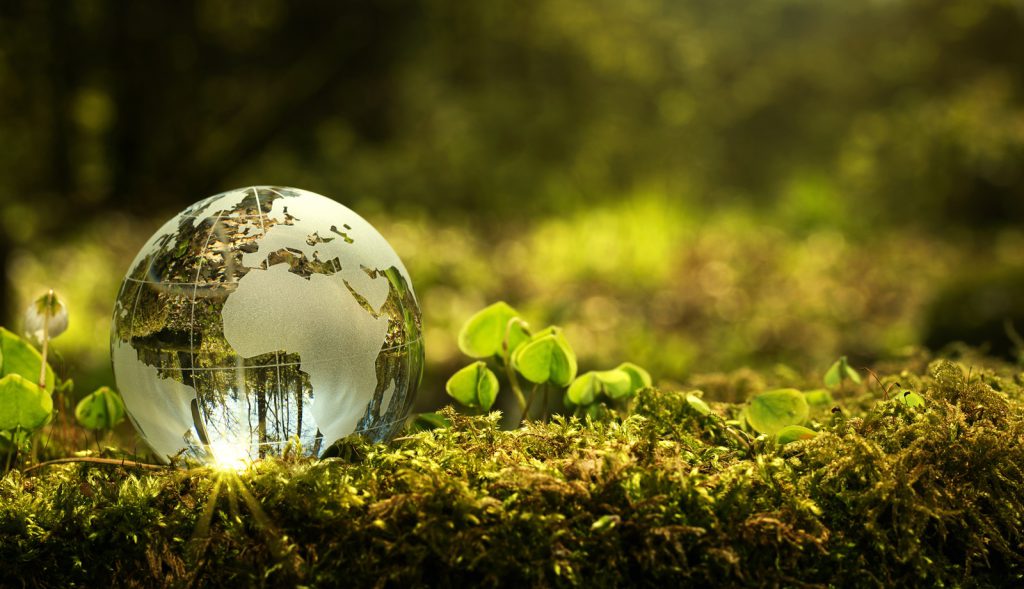 Carbide Solutions: Ideas innovadoras para el mundo moderno